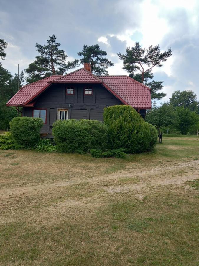 Brivdienu Maja Greizi Myza Dzirtsiyems 外观 照片